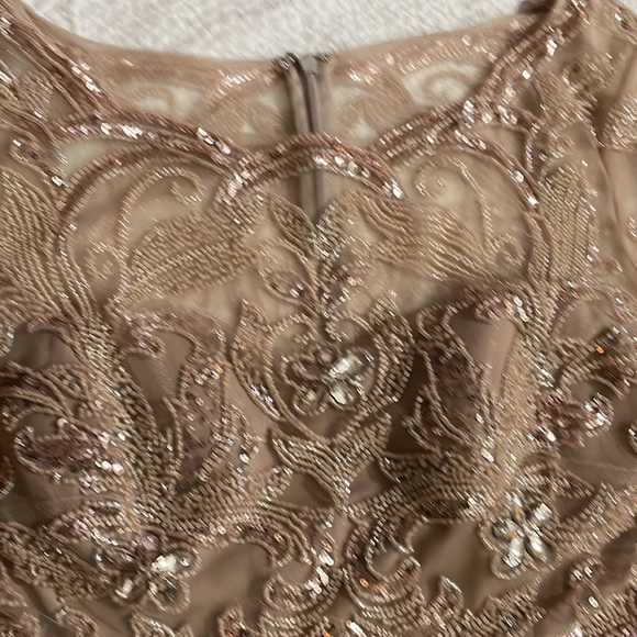 transparent long sleeves with beading details nude color size 14 petite - Picture 2 of 6